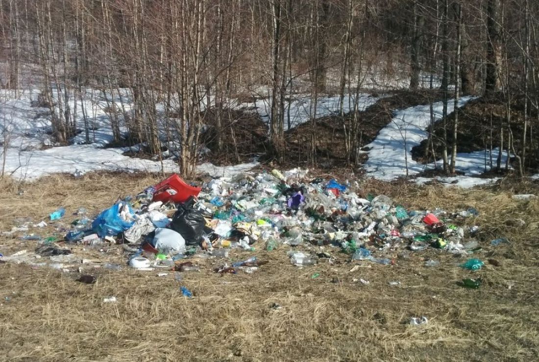 В Пензе около автодрома «Вираж» возникла стихийная свалка. Фото