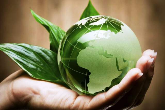 Промокоды и экологическая устойчивость: внедрение в мир зеленых инициатив